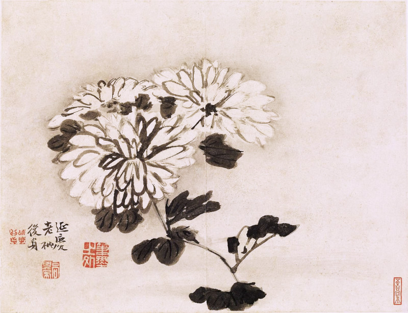 artist, bird, chrysanthemum