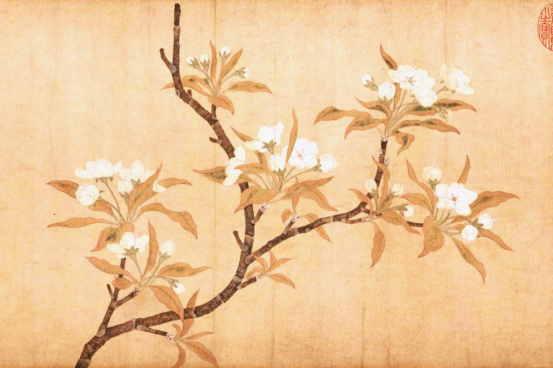 artist,  Qian Xuan,  pear