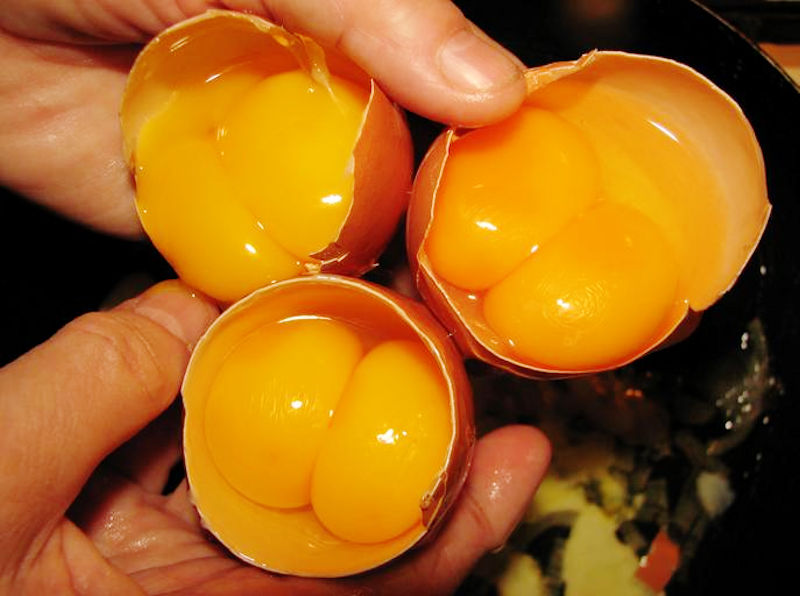 double yolk,eggs