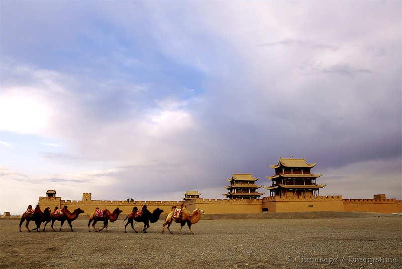 Gansu, Jiayuguan, camel