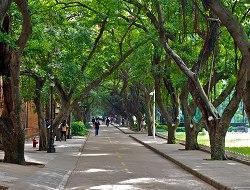 Sun Yatsen University