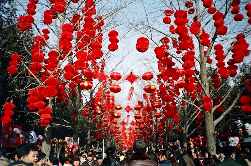 red lantern, lantern, chinese new year, spring festival
