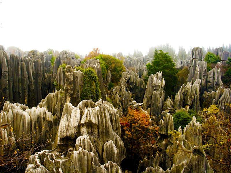 Yunnan, stone forest, landform