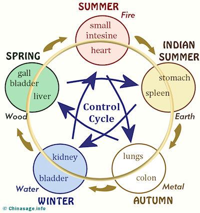 cycle hacking chinese medicine